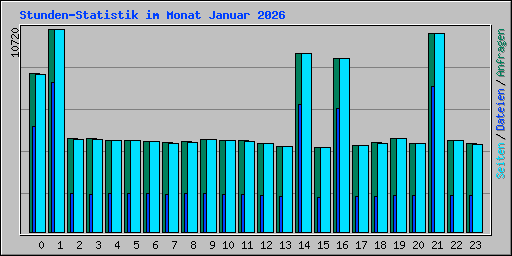 Stunden-Statistik im Monat Januar 2026