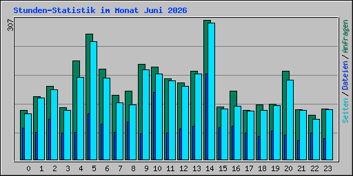 Stunden-Statistik im Monat Juni 2026