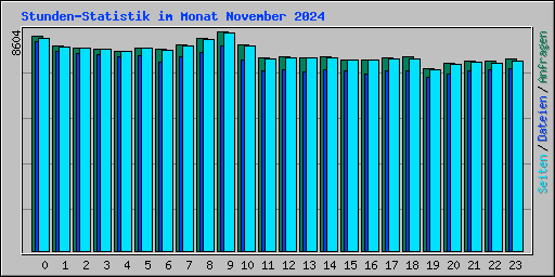 Stunden-Statistik im Monat November 2024