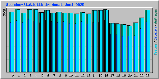 Stunden-Statistik im Monat Juni 2025