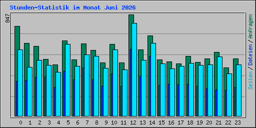 Stunden-Statistik im Monat Juni 2026